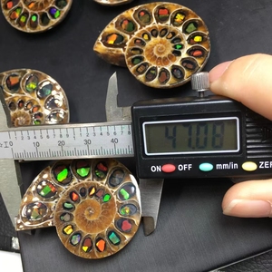 Colgante de joyería fina colorida de piedra de roca Mineral Natural de alta calidad, collar fósil de Amonita para regalo - Product Image 4