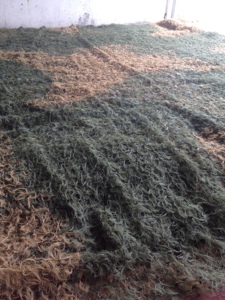 <span class=keywords><strong>Malla</strong></span> de Camuflaje de Lona para Césped - Product Image 3