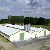 2025 Granja de pollos grande Casa de pollos especial Todo tipo de estructura de acero prefabricada Casa de pollos Estructura de acero de granja
