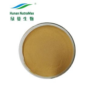 100% Natuurlijke Loquat Bladextract Poeder 10:1 20:1 Met Ursolinezuur 25%-95% - Product Image 1