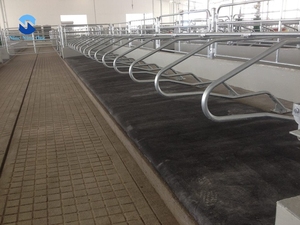 Cao su bò Nệm cao su ổn định thảm cho bò - Product Image 5