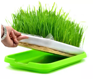Plateaux de <span class=keywords><strong>semis</strong></span> hydroponiques <span class=keywords><strong>à</strong></span> microvertes, 2 pièces, étagère pour la plantation, différentes tailles - Product Image 3