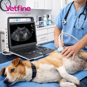 Escáner <span class=keywords><strong>de</strong></span> Ultrasonido Veterinario Portátil, Eléctrico, para Hospitales, Mejor <span class=keywords><strong>Precio</strong></span> <span class=keywords><strong>de</strong></span> Ultrasonido Médico - Product Image 1