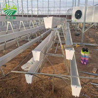 Culture de graines en serre de culture, gcouleur hydroponique en Pvc pour fraise