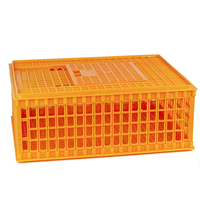 Vente chaude, directement de l'usine, grande cage à poulets pliable en plastique, caisse de transport