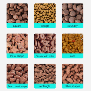 Cibo per cani personalizzato OEM/ODM Premium-alta appetibilità 25% opzioni Multi-sapore e forma di Formula senza crocchette secche proteiche - Product Image 5
