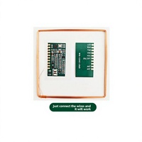 Module de détection de température FDX-B pour la mesure des animaux, puce microchip 134,2 kHz, étiquette implantable encapsulée dans du verre, ISO11784/5