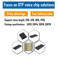 Puce IC OTP vocale électronique personnalisée de haute qualité, achat en gros, prix compétitif pour les consommateurs