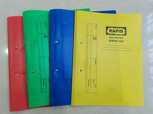 Wholesale PP F/<strong>C</strong> Spring Frosted Perforated <strong>File</strong> Folder Customized Logo Available - Product Image 2