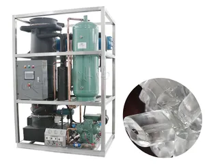 Máquina de hielo de tubo Industrial de Filipinas 10T/24H máquina de hielo de tubo seco para enfriar bebidas máquina de hielo de tubo para la venta