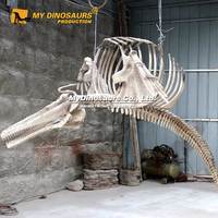 Squelette de dauphin réalistes, fossiles animaux, à fixer au mur