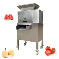 Peterselie Watermeloen Sap Koude Pers Extractor Commerciële Industriële Mango Juicer Fruitpulp Procesmachine