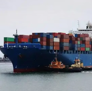 到明尼阿波利斯的专业海运/货运代理/物流服务 - Product Image 6