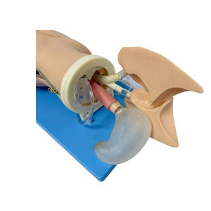 แบบจำลองการใส่ท่อช่วยหายใจ SY-N3701 ขายดี พร้อมฟังก์ชั่นคอเอียงหลัง หุ่นฝึกปฐมพยาบาลสำหรับการจัดการทางเดินหายใจ - Product Image 3