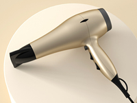 Sèche-cheveux portable de voyage RYACA en plastique, électrique, 2200W, moteur DC, 21000 tr/min, 2 vitesses, ionique, avec concentrateur et diffuseur