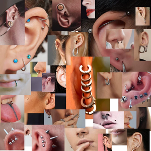 Anillo de Nariz de Titanio ASTM F-136 con Bisagra Segmentada Estilo Punk, Chapado en Oro de 18K, Joyería de Piercing Corporal de Moda - Product Image 6