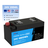 200Ah LiFePO4 حزمة بطارية ليثيوم حديد بدورة عميقة 24 فولت مع BMS للطاقة الشمسية RV أنظمة الطاقة المنزلية