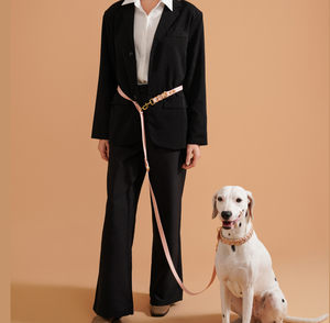 Conjunto de Correa y <span class=keywords><strong>Collar</strong></span> para Mascotas de Cuero PU Trenzado a Mano, Ajustable, Duradero, Suave y de Lujo, Correa Retráctil para Perros con Manos Libres - Product Image 1