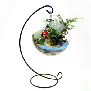 Vase en <span class=keywords><strong>verre</strong></span> suspendu <span class=keywords><strong>de</strong></span> 8 cm avec grand trou d'accès pour plantes <span class=keywords><strong>de</strong></span> mousse et bryophytes – Vente en gros - Product Image 2