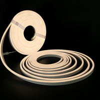 Bande LED Néon Ultra-Fine 0613 RGB Pleine Couleur, Fabricant, IP65, Étanche, Changement de Couleur Dynamique