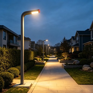 Luces LED de Alta Gama para Exteriores IP65, de 2M-6M, para Jardines, Estacionamientos, Caminos y Calles de Comunidades - Product Image 3