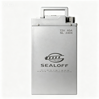 Batterie LiFePO4 pour véhicule électrique à deux roues, design interchangeable, contrôle intelligent par application, connectivité Bluetooth, BMS intelligent