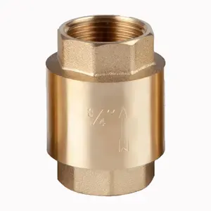 Van Màu Xanh Lá Cây OEM 1/2 1 3/4 2 Inch NPT Van Kiểm Tra Nâng Bi Lò Xo Thẳng Đứng Nước Bằng Đồng Thau