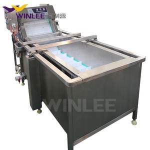 Fruit washing machine vegetable bubble washer fruit and vegetable cleaning machine