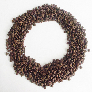 Phổ Biến Con Chó Khô Thực Phẩm OEM Odm Nhà Máy Trực Tiếp Số Lượng Lớn Bán Buôn Nhà Cung Cấp Biểu Tượng Tùy Chỉnh Bao Bì Cao Protein Tươi Gà Cá Hồi - Product Image 3