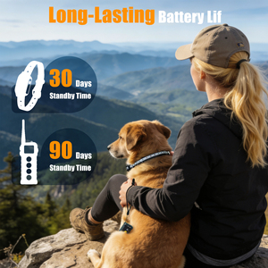 Collier de dressage pour chien sans choc, étanche, électronique, rechargeable, avec contrôle de zone et dissuasion anti-aboiement - Product Image 3