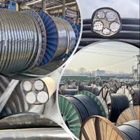 Hochwertiges RVVB Flachkabel 2-adrig Flexibles Kupfer-PVC-Kabel für Haushaltsverkabelung und Gebäudedekoration