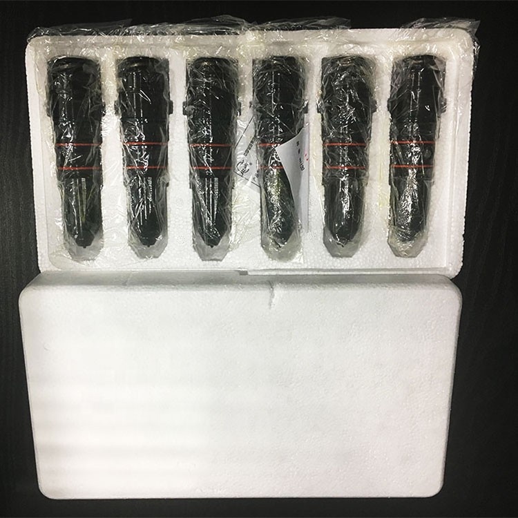 CCEC NT855 Cummins Engine Parts - Fuel Injector 4914308