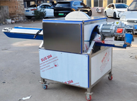 Fruit- en groentesnijmachine met motor & tandwiel voor fruitverwerkingsbedrijven (voor aardbeien, paprika's, citroenen, pompoenen, kool etc.)