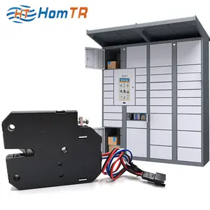 HomTR DC 24V 12V OEM ODM paket loker elektrik kunci penyimpanan kabinet garasi untuk paket ponsel pintar