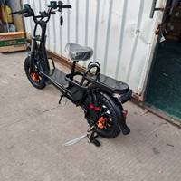 Vélo russe 2024 vélo de livraison électrique Cargo gros pneu vélo électrique ebike gros pneu 16 pouces vélo