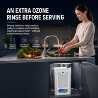 Générateur d'eau ozonée sous évier, système d'eau ozonisée pour toute la maison, machine à eau ozonée murale pour le nettoyage de la cuisine domestique