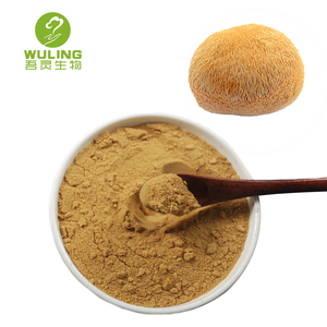 Fabricante de los Leones Mane Hericium Erinaceus de polvo de extracto de con el mejor <span class=keywords><strong>precio</strong></span> - Product Image 5