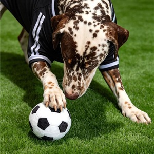 Jouet pour animaux de compagnie officiel de la Coupe du monde <span class=keywords><strong>FIFA</strong></span>, jouet de football multi-texturé, jouet en peluche avec sifflet, jouet à mâcher pour chien, jouet en latex durable pour chien - Product Image 3
