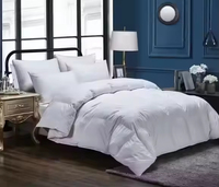 Couette en duvet d'oie sur mesure Remplissage en duvet de plumes Lavable en machine Quatre saisons Couette pour la maison Literie d'hôtel
