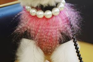 Ropa de invierno de lujo para mascotas, piel de pavo peluda de felpa, ropa de punto para perros de toro francés, abrigo esponjoso para perros pequeños y medianos - Product Image 4