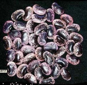 Frijoles de mantequilla chinos Nihewan secos no Gmo púrpura frijoles de riñón moteados negros grandes - Product Image 4