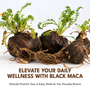 Itawel Integratore Erboristico di Alta Qualità, Estratto in Polvere di Radice di Maca Nera per Supportare Energia e Vitalità Naturali, Superfood per Cucina e Pasticceria - Product Image 3