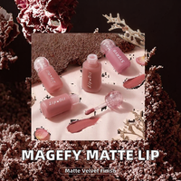 Teinte à lèvres mate minérale SYSRYB avec capuchon à bille, rouge à lèvres liquide mat velours, argile à lèvres hydratante, waterproof, longue tenue, anti-transfert