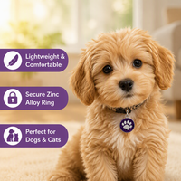 Pendentif personnalisé OEM ODM en polyester brillant avec empreinte de patte de chien, gravure laser du logo, pour identification d'animal de compagnie