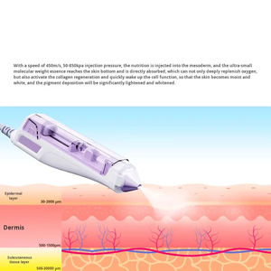 Máquina Facial <span class=keywords><strong>de</strong></span> Mesoterapia por Electroporación a <span class=keywords><strong>Precio</strong></span> <span class=keywords><strong>de</strong></span> Fábrica, Inyección <span class=keywords><strong>de</strong></span> Agua a Alta Presión para Hidratación con Luz <span class=keywords><strong>de</strong></span> Agua - Product Image 3