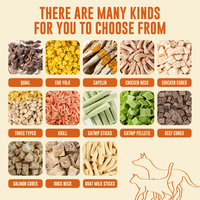Friandises pour animaux de compagnie OEM ODM : Mélange de viande lyophilisée, protéines de qualité supérieure, sans céréales, favorisant un pelage brillant, friandises récompensantes pour chats et chiens