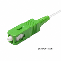 Kabel Fiber Optik SKYLYNN FTTH FTTR Pre-terminasi Tak Terlihat 0.9mm SC/APC LC PTO 1FO 20m 30m 50m