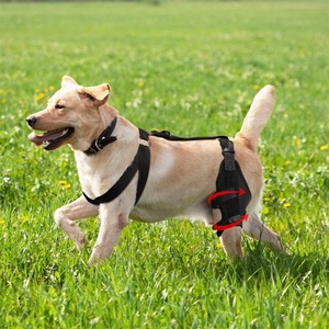 6PC Mùa Xuân Hỗ Trợ Rách Acl CCL Đầu Gối Cap Trật Khớp Chân Vết Thương Chăm Sóc Ngăn Chặn Liếm Hip Hỗ Trợ Có Thể Điều Chỉnh Dog Đầu Gối <span class=keywords><strong>Brace</strong></span> - Product Image 3