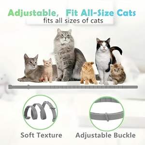 <span class=keywords><strong>Collier</strong></span> <span class=keywords><strong>anti</strong></span>-<span class=keywords><strong>puces</strong></span> pour <span class=keywords><strong>chien</strong></span>, protection de 8 mois, naturel et sûr, spécialité pour chiens - Product Image 2