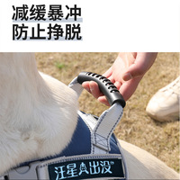Harnais de poitrine anti-explosion de type gilet pour grands chiens, réfléchissant 3D en toute sécurité, lavable, pour Golden Retriever et Labrador